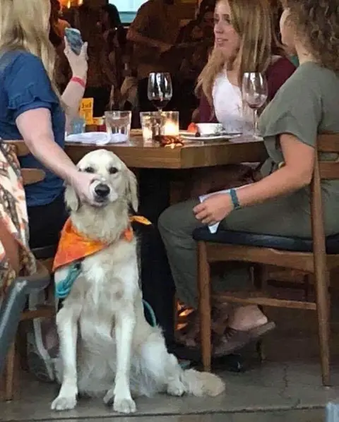 Woman Holding Dog's Mouth